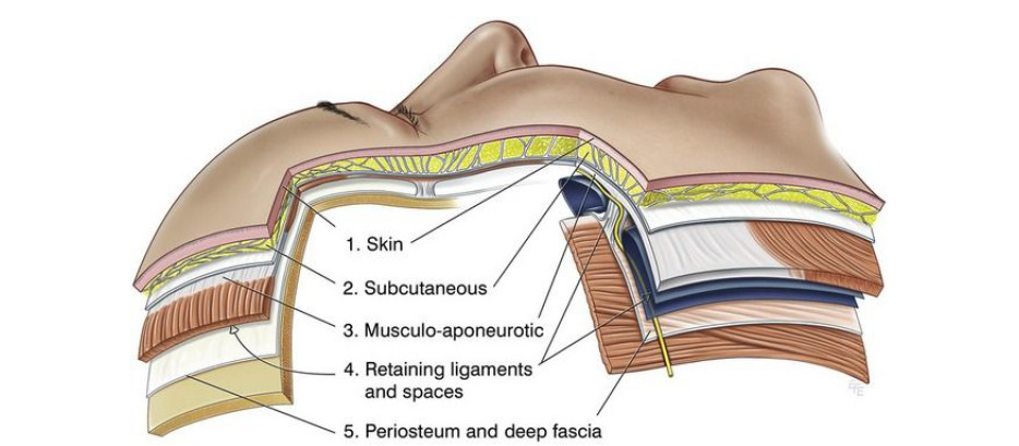 Порівняння апаратного СМАС-ліфтингу та природного омолодження через закриття дефіцитів нутрієнтів та масаж обличчя.
